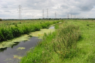 Ditch at Gowy Meadows