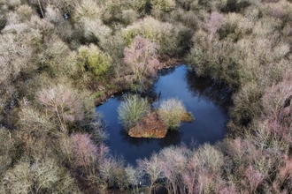 beaver pond drone
