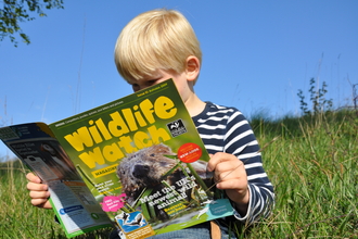 Wildlife watch mag