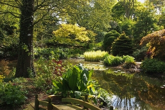 Rowley House Open Gardens 