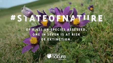 state of nature graphic