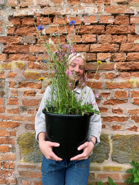 A photograph of a young woman holding a plant pot filled with wildflowers.