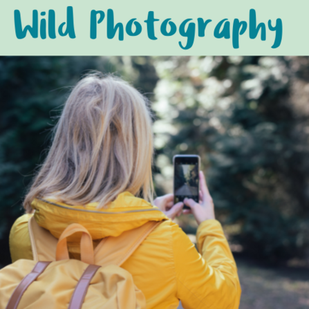 Wild Photography