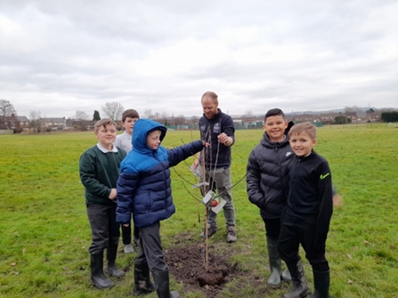 Dalam pupils planting tree
