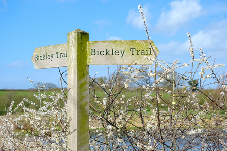 Bickley Trail sign
