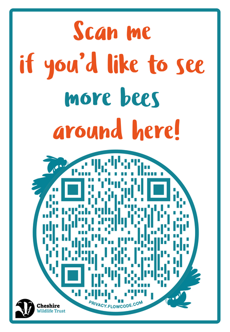 More bees QR code poster to be downloaded