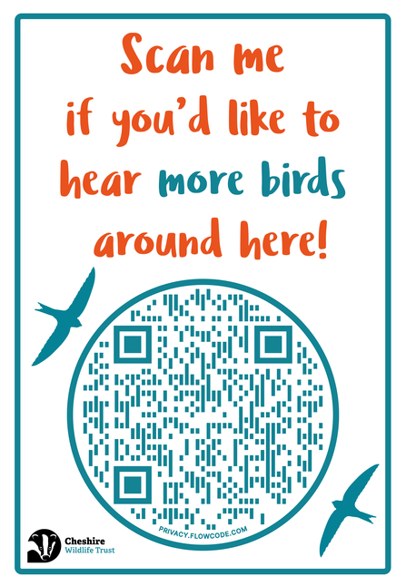 More birds QR code poster to be downloaded