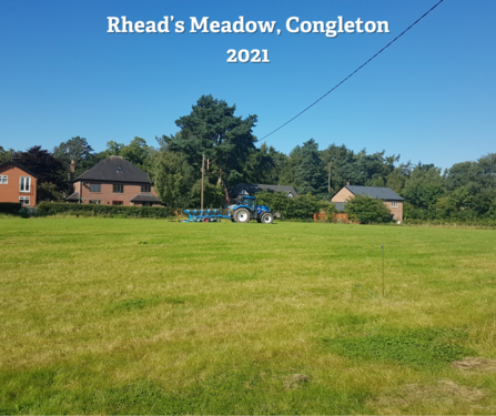 Rhead's meadow (before)