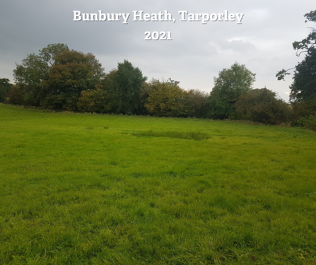 Bunbury Heath (before)