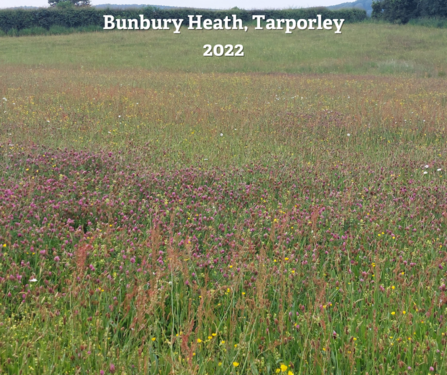 Bunbury Heath (after)