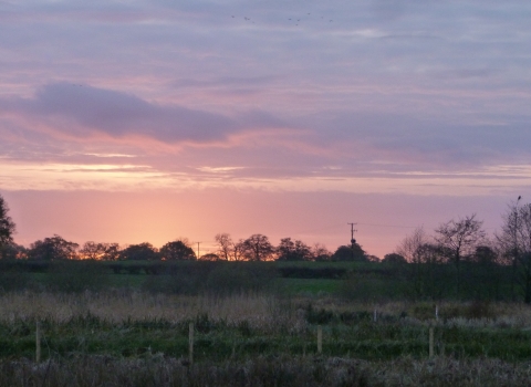 Sunset from Bagmere nature reserve c. Claire Huxley