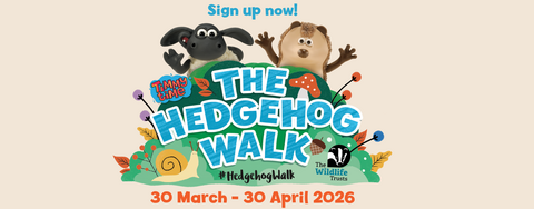 The Hedgehog Walk