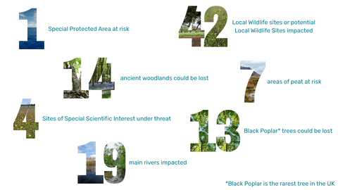 Numbers containing images of nature summarising what could be lost during the construction of the Peak Cluster pipeline
