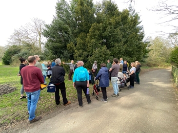 A guided tree ID walk in a park in Birkenhead, with attendees facing the guide and listening to interesting facts.