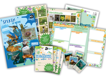 A collage of 30 Days Wild kids' resources, including a poster, spotting sheets and trading cards