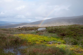 Upland spring, flush and fen