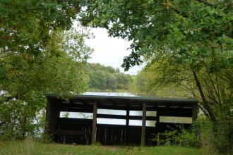 Moore Nature Reserve c. Claire Huxley