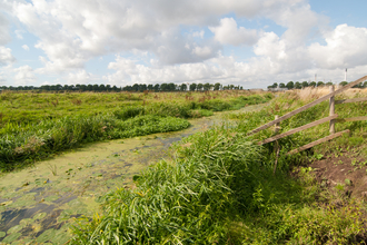 Gowy Meadows Nature Reserve c. Andrew Walmsley