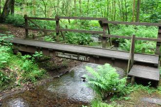 Eastwood Nature Reserve