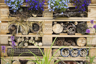 Bug Hotel at Tatton