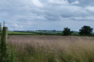 Bickley Hall Farm c. Claire Huxley