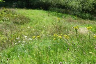 Swettenham Meadows c. Claire Huxley