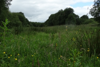 South Macclesfield Development site