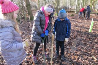 Tree planting Mablins Primary School