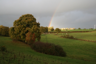 Cheshire countryside c. Matt Lawton