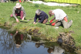 Wirral Wildlife planting wildflowers