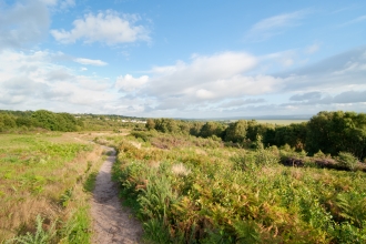 Cleaver Heath Nature Reserve
