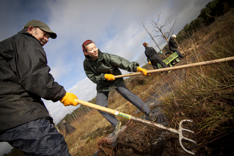 Volunteers creating a habitat for the White Faced Darter 