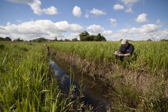 Volunteer surveying Gowy Meadows