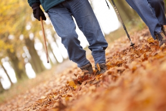 Autumn walk