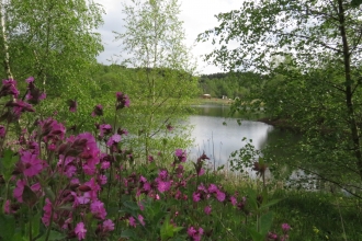 Crown Farm Nature Reserve view