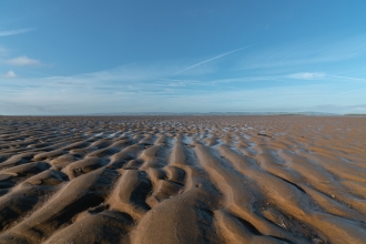 Estuary sand