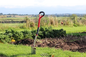 Turn your garden wildlife friendly