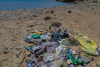 beach clean