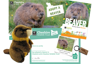 beaver adoption with keyring