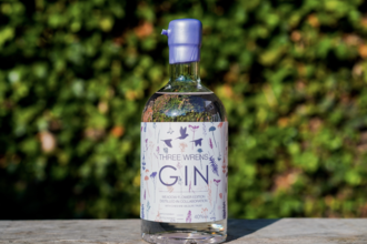Gin