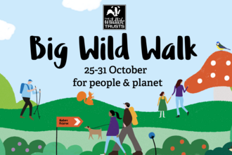 Big Wild Walk 2021 - Web banner