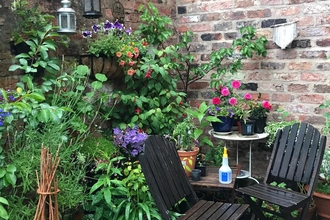 Patio garden