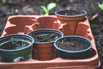 compost