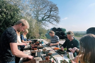 Team  seed planting