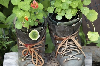 Flowers planted in old boots