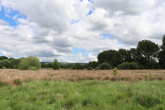 Wide shot of Danes Moss nature reserve