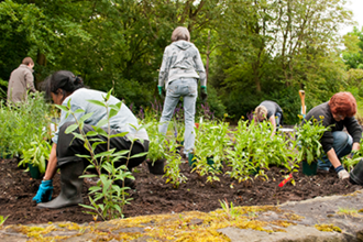 Community garden