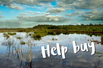 help buy wetland