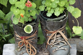 upcycled pots