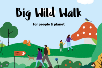 big wild walk